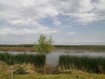 Фото номера Дом для отпуска Дома для отпуска Cabana de vacanta, Acumularea Murani - Pădurea Pischia г. Murani 12