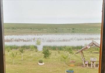 Фото номера Дом для отпуска Дома для отпуска Cabana de vacanta, Acumularea Murani - Pădurea Pischia г. Murani 15