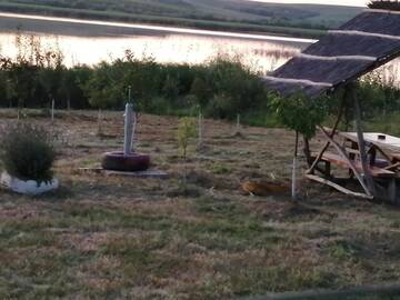 Фото номера Дом для отпуска Дома для отпуска Cabana de vacanta, Acumularea Murani - Pădurea Pischia г. Murani 24
